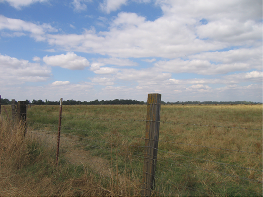 Hilder Preserve Opens in new window