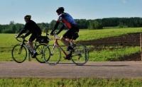 group of cyclists on a road surrounded by green fields