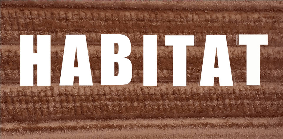 Habitat Video Image 