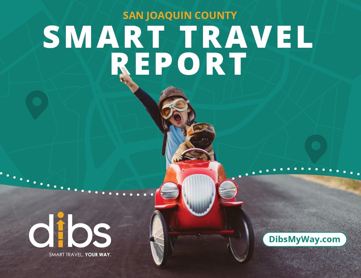 Image shows the dibs report cover.