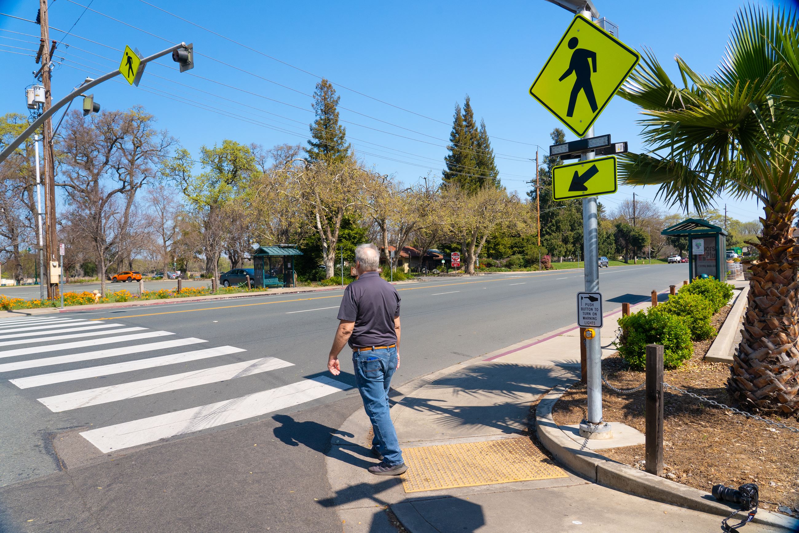 Captivating Photo Pedestrian Crossing LBEP
