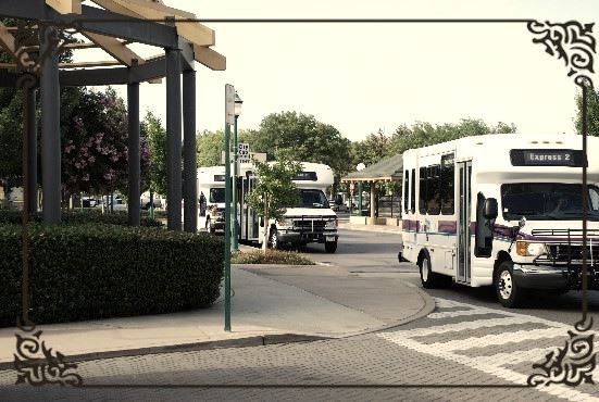 Lodi Grapeline vintage