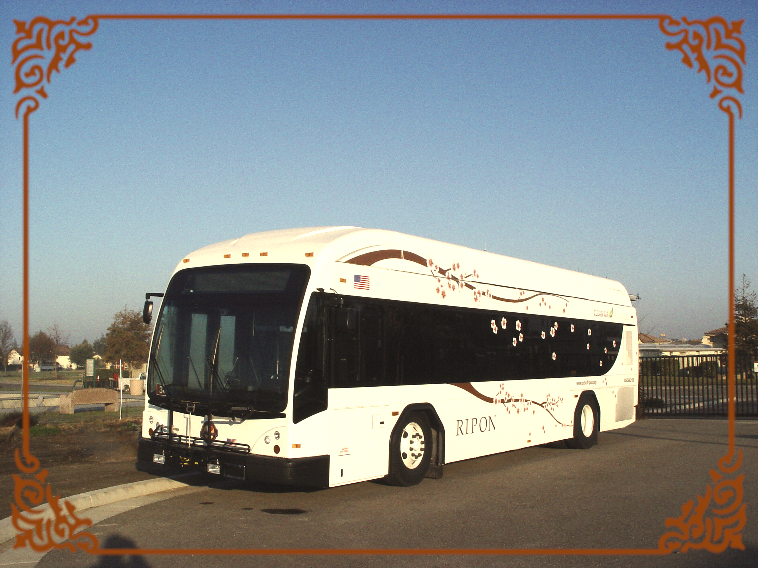 Ripon Blossom vintage