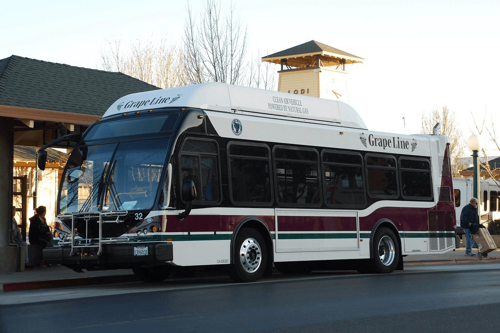 Lodi Grapeline Bus