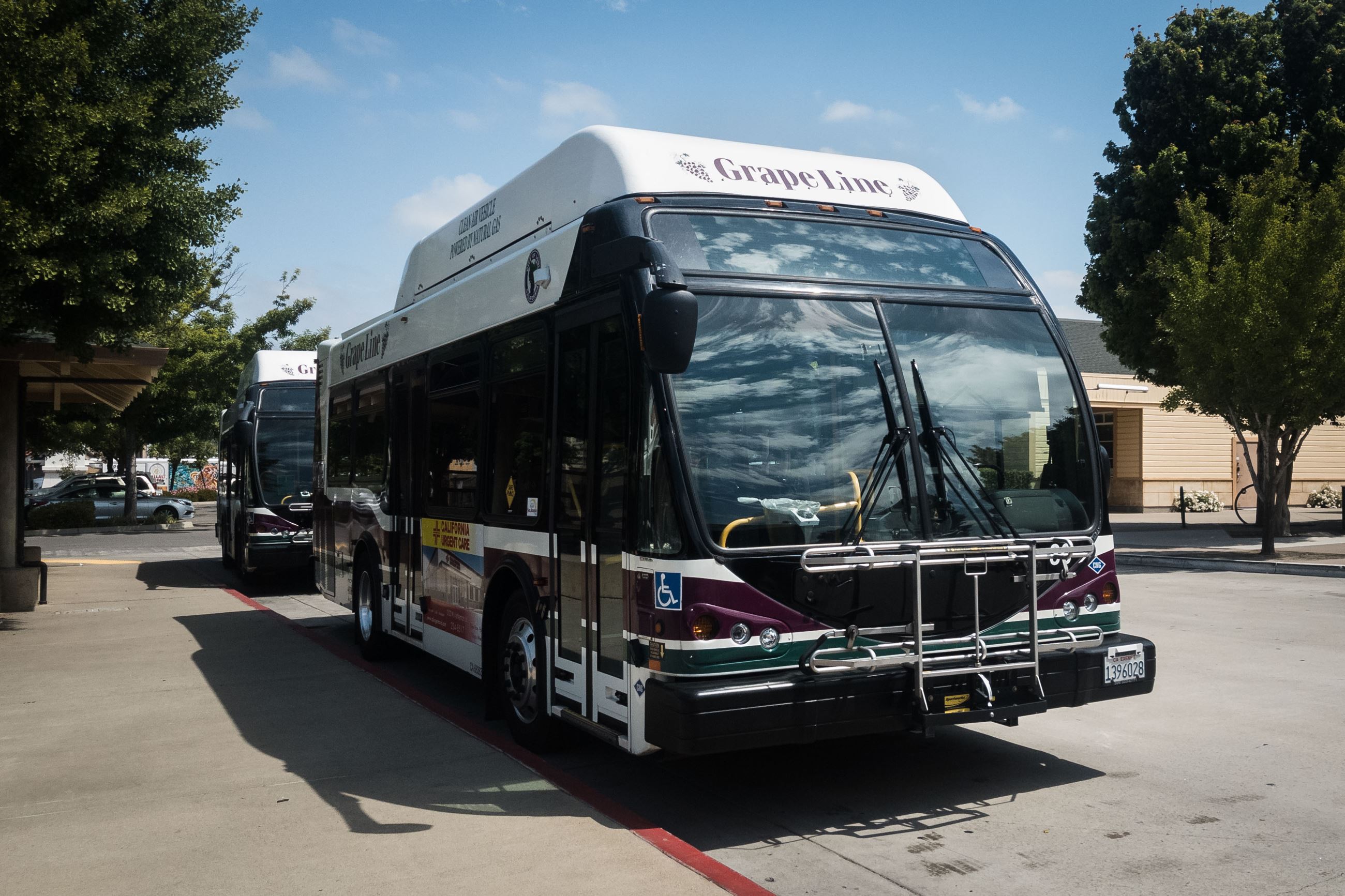 2019 Grapeline Bus 33